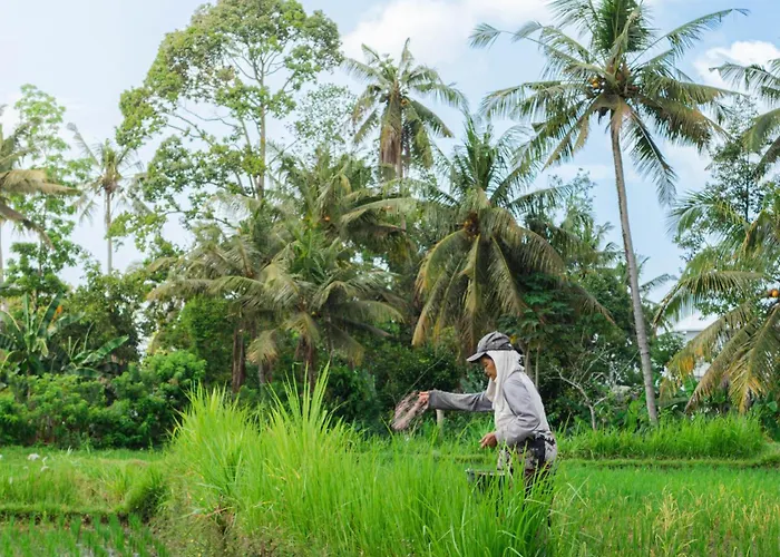 Tannari * Ubud